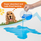 Dog & Puppy Pee Pads – 100 Count Leakproof Disposable Training Pads
